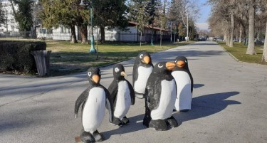 (ФОТО) Ладни радијатори, пингвини во Скопје