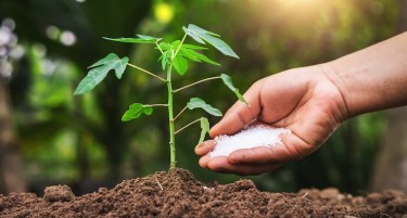 Земјоделците ќе штедат на употреба на ѓубрива, но ќе настрада приносот