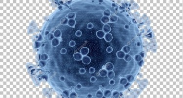 Осум градови во земјава се без заразени со корона