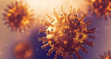 Кои се двете земји во кои нема случаи на коронавирусот?