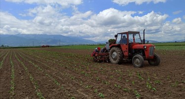 Со зголемена конкурентност на фармите до зајакнување на руралната егзистенција