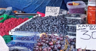 БЕРБА НА БОРОВНИЦА: Aко наберете 20 килограми, колкава дневница ќе земете?