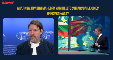 Бришењето на „македонски“ во Брисел „кец на десетка“ за уставните измени