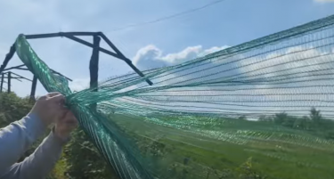 За да ги заштитите насадите од УВ зрачењето има начин, но тоа ќе ве чини пари