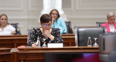 Димитриеска-Кочоска: Немам информација дека доцни породилното