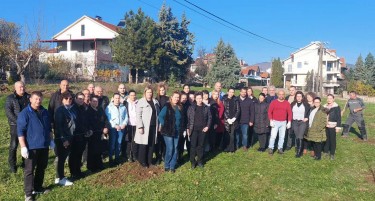 Шеесет и три јавори се засадени во Кочани во чест на загинатите во „Пулс“