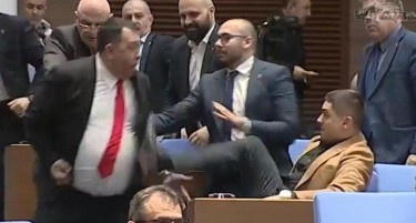 ВИДЕО: Клоци и боксови со Собранието на Бугарија