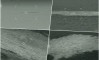 РУСИТЕ ЌЕ БАРААТ 17 МИЛИЈАРДИ ЕВРА ОШТЕТА: Можно е цевките на Северен тек поради поправка да се кренат на површина на морето